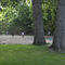 Vondelpark