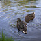 Vondelpark