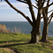 Cypress Grove, Davenport, CA