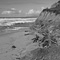 San Gregorio State Beach, San Mateo County, CA