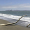 Pearl&rsquo;s Beach, Angel Island, CA