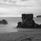 A&ntilde;o Nuevo State Reserve, San Mateo Coast, CA