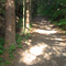 Palomarin Trail, Point Reyes, CA