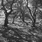 Stanford Dish Area, Palo Alto, CA
