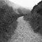 Palomarin Trail, Point Reyes, CA