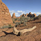 Arches National Park, UT