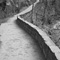 Riverside Walk, Zion National Park, UT