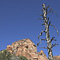 La Verkin Creek Trail, Zion National Park, UT