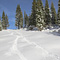 Fresh Tracks, Homewood, CA