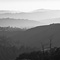 Russian Ridge Open Space Preserve, San Mateo County, CA