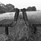 Makin&rsquo; Hay, Stanford Dish Area, Palo Alto, CA