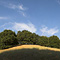 Arastradero Preserve, Palo Alto, CA