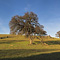 Winter, Menlo Park, CA