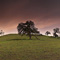 Night, Full Moon, Menlo Park, CA