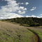 Arastradero Preserve, Palo Alto, CA