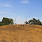 Arastradero Preserve, Palo Alto, CA