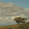 Arastradero Preserve, Palo Alto, CA