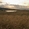 Felt Lake, Palo Alto, CA