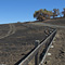 Fire Season, Stanford Dish Area, Palo Alto, CA
