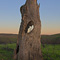 Arastradero Preserve, Palo Alto, CA