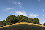 Foothills