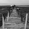 Pier, Lake Naivasha