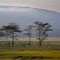 Lake Nakuru