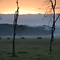 Lake Nakuru