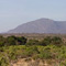 Samburu National Reserve