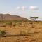 Samburu National Reserve