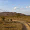 Samburu National Reserve