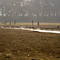 Lake Nakuru National Park