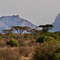 Samburu National Reserve