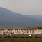 Lake Nakuru