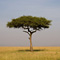Masai Mara