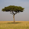 Masai Mara