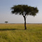 Masai Mara
