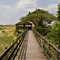 Paradise Mara Lodge