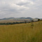 Masai Mara