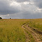 Masai Mara
