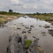 Mara River