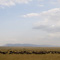 Great Migration, Masai Mara