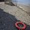 River Thames Shore