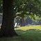 Hyde Park
