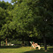 Hyde Park
