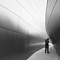 Walt Disney Concert Hall, Los Angeles, CA