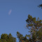 Full Moon, Portola Valley, CA