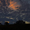 Arastradero Preserve, Palo Alto, CA