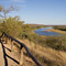 Olifants River, Kruger National Park