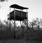 Lookout, CARE